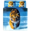 Постельное белье "Tiger" (2-х спальный КПБ, ранфорс) 50 см х 70 см инфо 9567e.